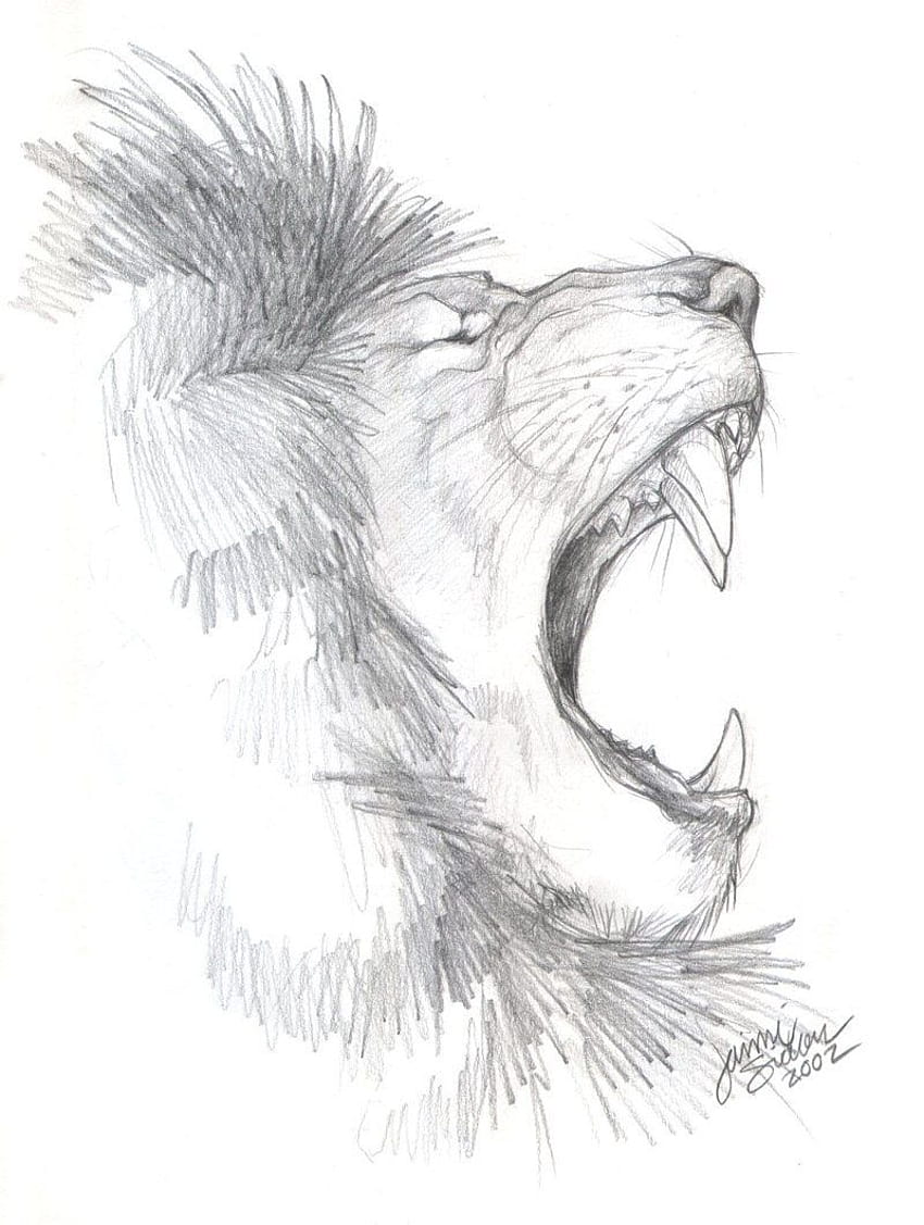 Lion sketch, Animal drawings ...pinterest, lion drawing HD phone wallpaper  | Pxfuel