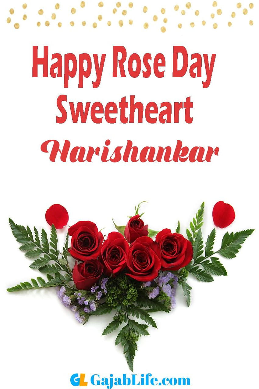 Harishankar Happy Rose Day 2020 , wishes, messages, status, cards ...