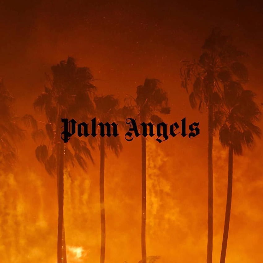 Palm Angels, 1080x1080 ฝ่ามือ vlone วอลล์เปเปอร์โทรศัพท์ HD