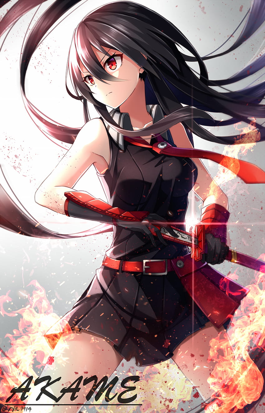 Anime 1064x1656 Akame ga Kill! anime filles anime épée arme, cool anime obscène fille anime suprême Fond d'écran de téléphone HD