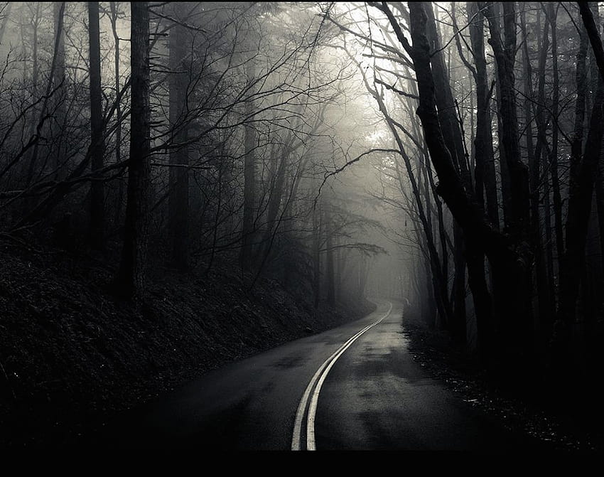 Dark Foggy Road ถนนที่มืดครึ้มไปด้วยหมอก วอลล์เปเปอร์ HD