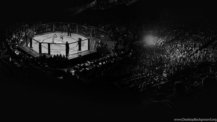 Berita MMA, Berita UFC Latar Belakang MMA LowKick, kandang ufc Wallpaper HD