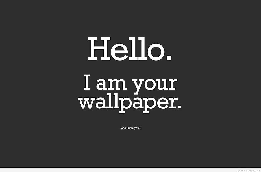 Funny Hello quote I am your HD wallpaper