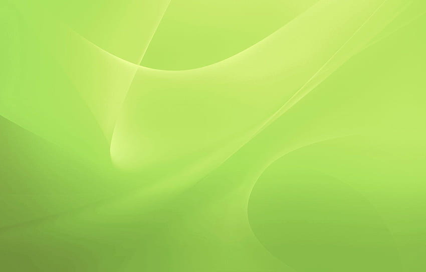 Green Colour Group, green light HD wallpaper | Pxfuel