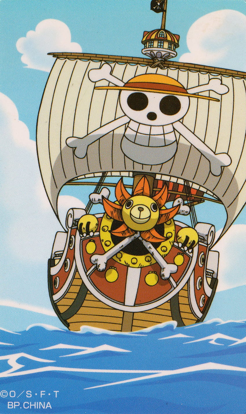 One Piece : Sunny Go One Piece เรือชิ้นเดียว วอลล์เปเปอร์โทรศัพท์ HD