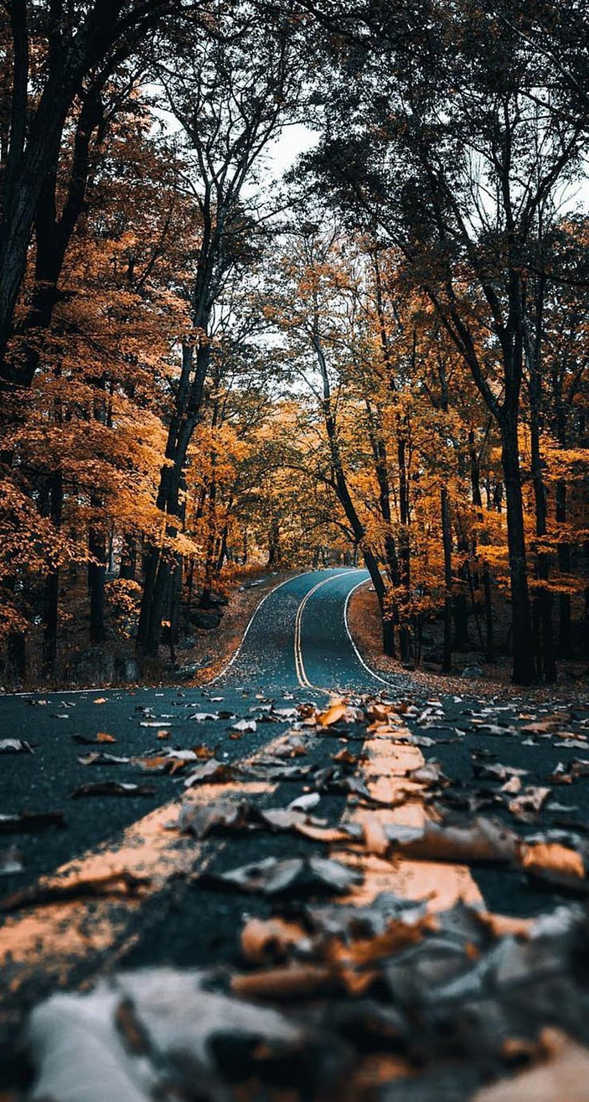 tranquilidad, estética vintage otoño. fondo de pantalla del teléfono
