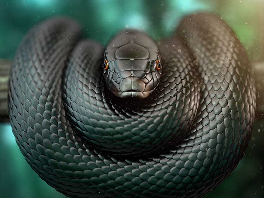 Black Mamba Of Black, snake eating HD wallpaper