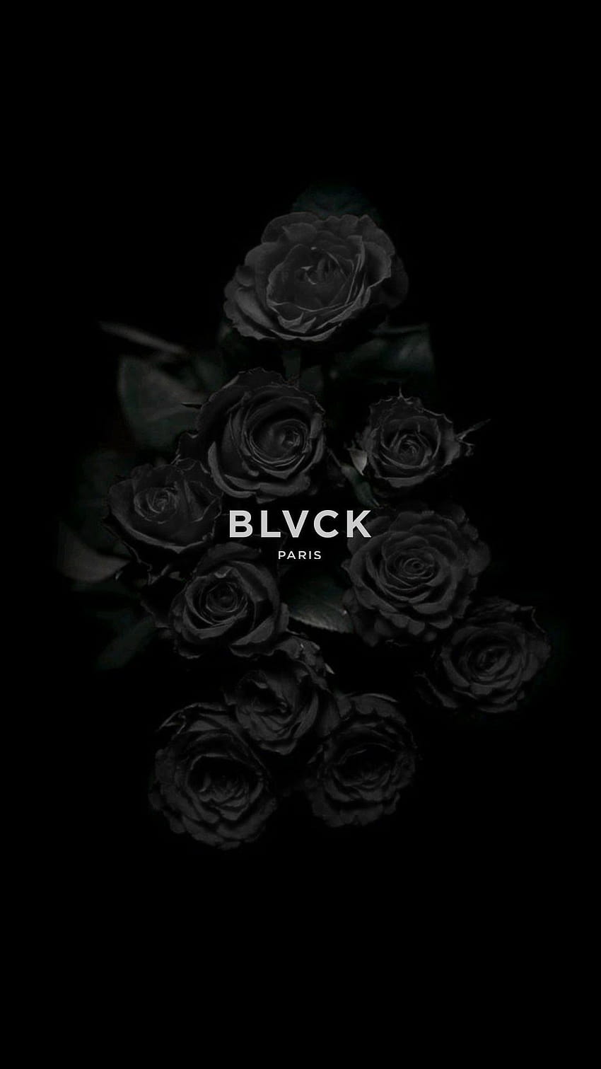 Aesthetic black roses HD phone wallpaper | Pxfuel