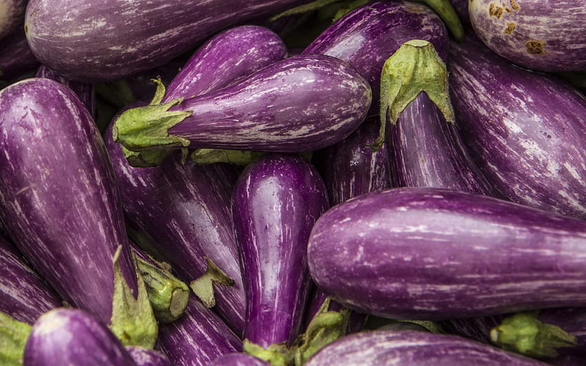 Eggplant and Backgrounds, aubergines HD wallpaper