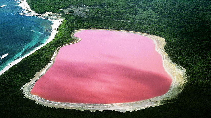 Este lago en Australia es rosa. He aquí por qué, lago más montañoso fondo de pantalla