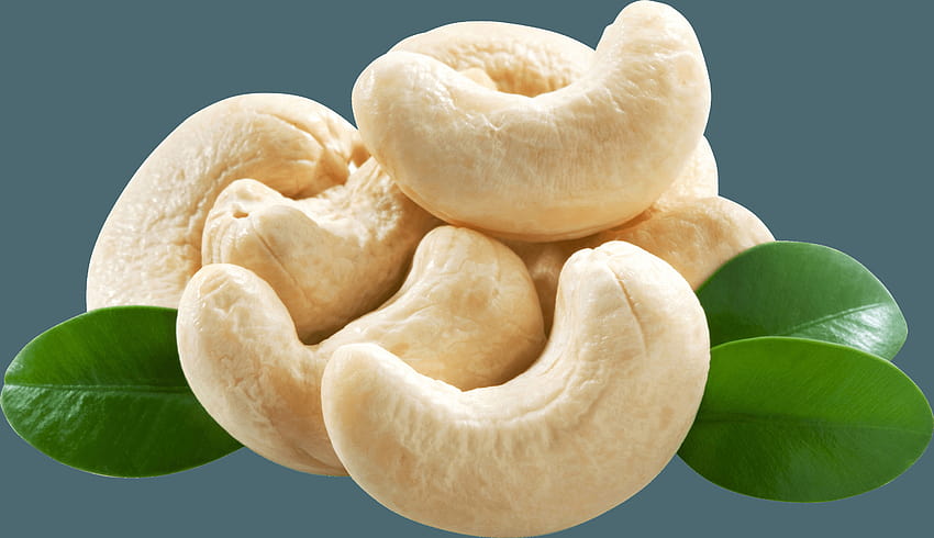 Cashew Png, cashew nut HD wallpaper