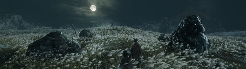 I played Sekiro on an ultrawide monitor, so I tried to take some screenshots of the sights for material : Sekiro, ultra wide winter HD wallpaper