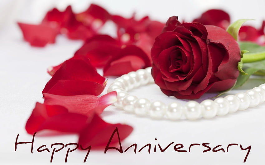 happy anniversary greetings with red rose, happy aniversary HD wallpaper