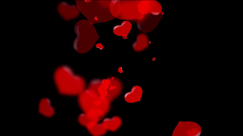 Vivid translucent red hearts on black background, Valentine's Day, red heart black background HD wallpaper