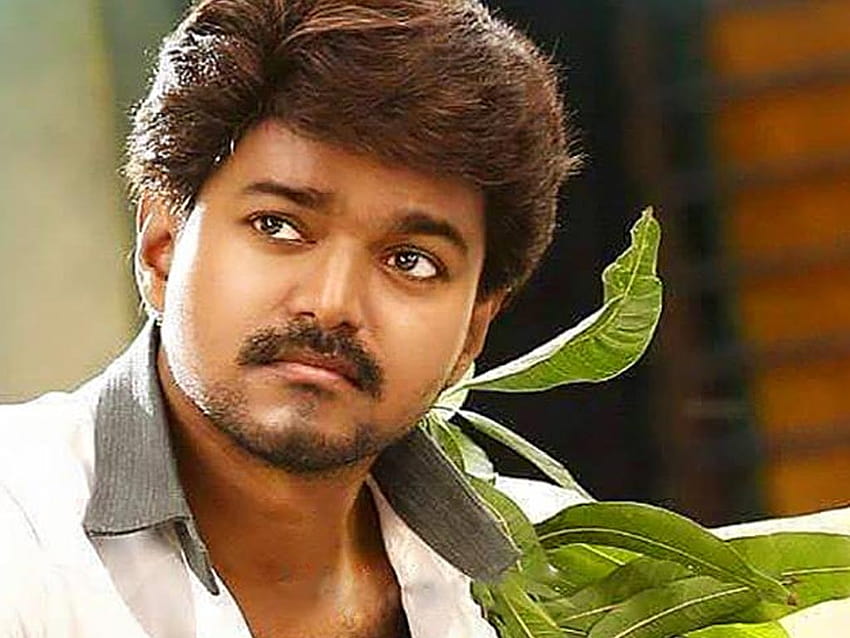 Tamil Actors, actor vijay HD wallpaper | Pxfuel