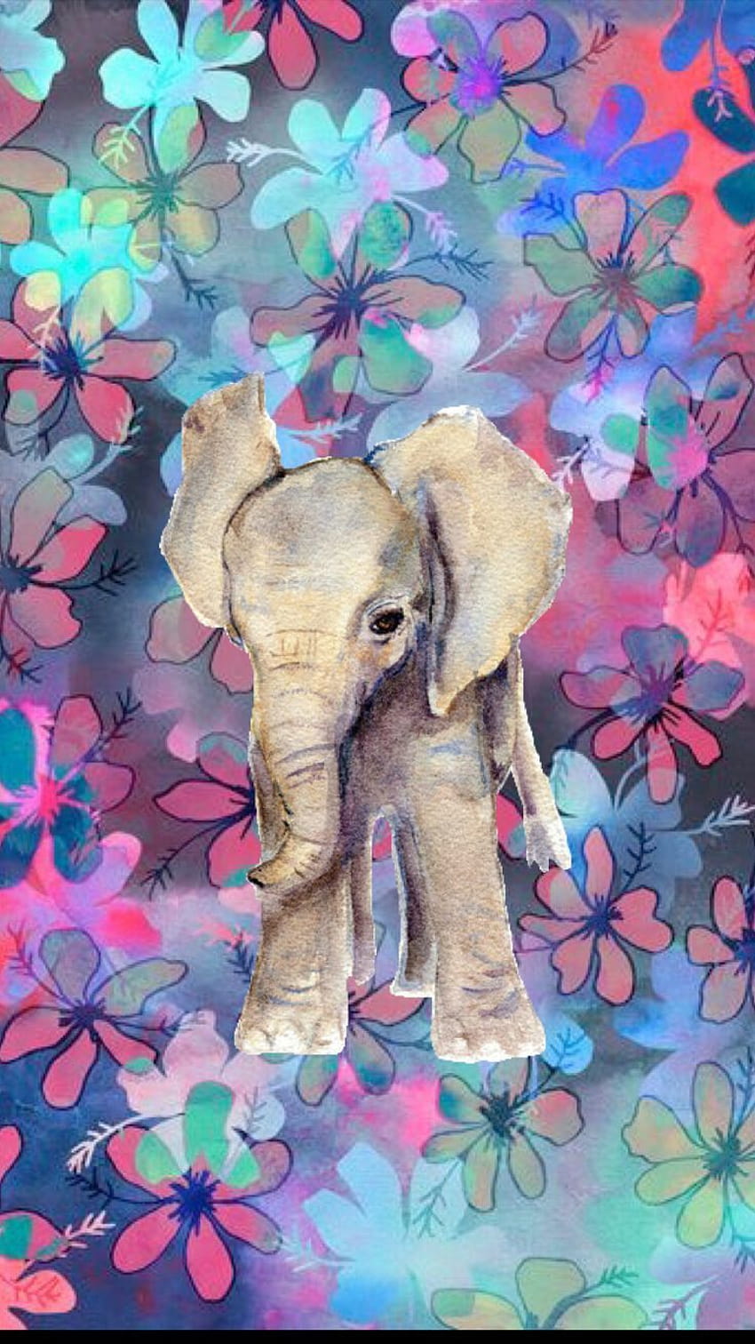 Obey Elephant on Dog HD phone wallpaper