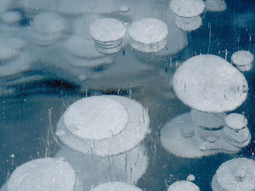 Un viaje de un día al lago Abraham ... Burbujas congeladas están llamando, parque nacional banff del lago abraham fondo de pantalla
