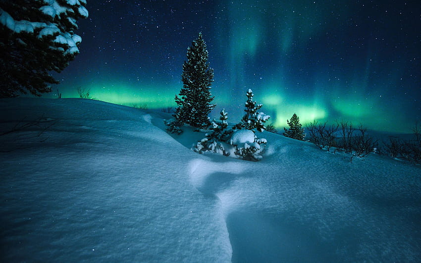 Nordlichter, Norwegen, Bäume, Schnee, Sternenhimmel, Nacht 2880x1800, sternenklare Nacht, Weihnachten HD-Hintergrundbild