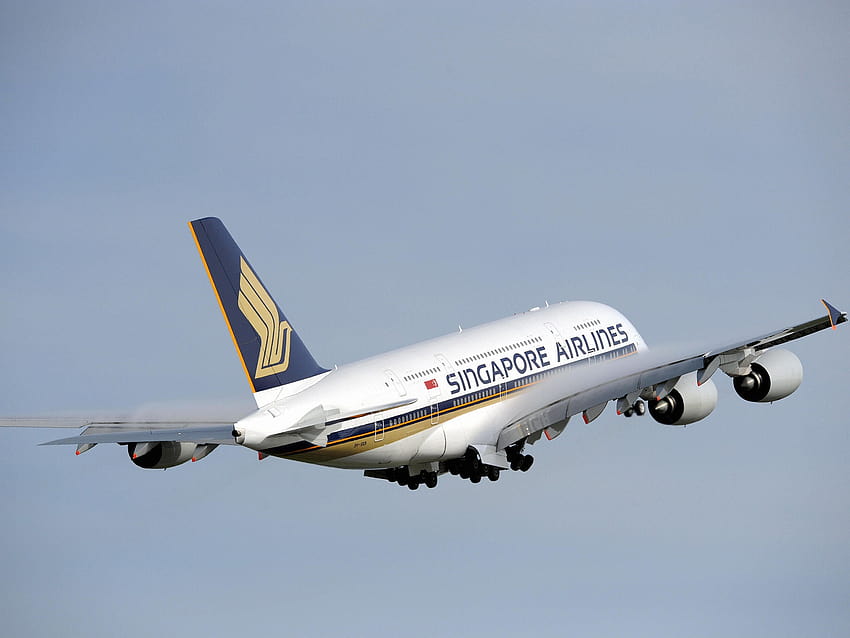 Singapore Airlines Hires Its First Female Pilots HD wallpaper