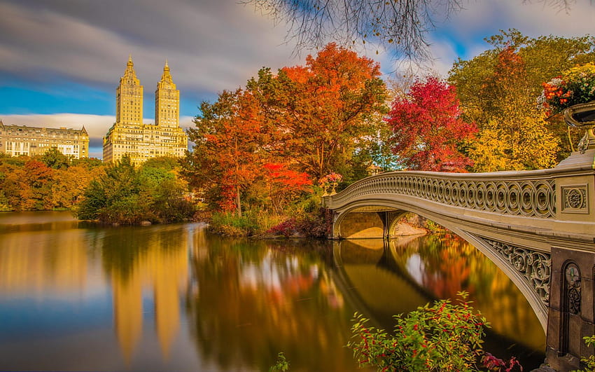 New York, Central Park, bridge, river, trees, autumn, autumn central park new york HD wallpaper 