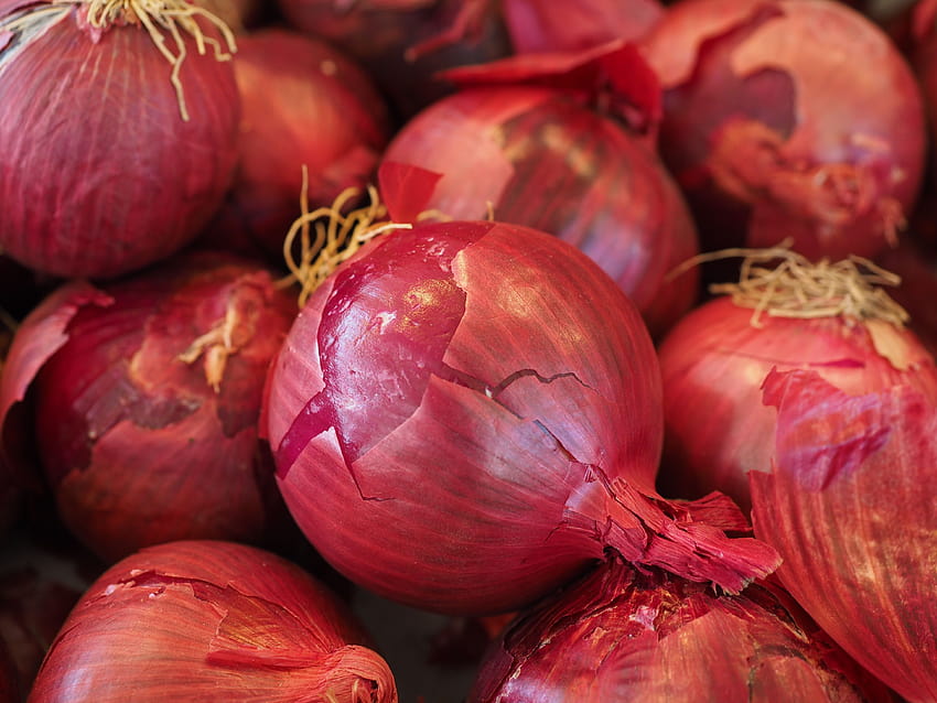 Red Onions · Stock HD wallpaper