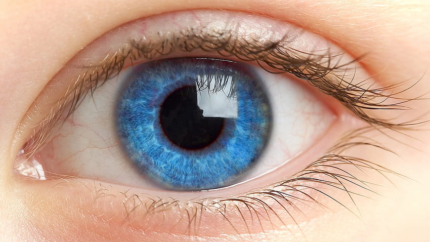 : occhi, ciglia, blu, pupilla 1920x1080 Sfondo HD