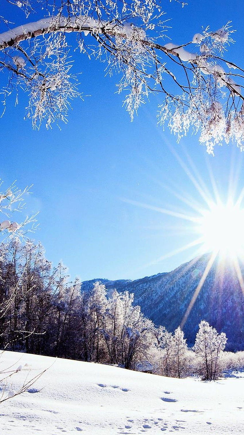 Winter sun Stock Photos, Royalty Free Winter sun Images | Depositphotos