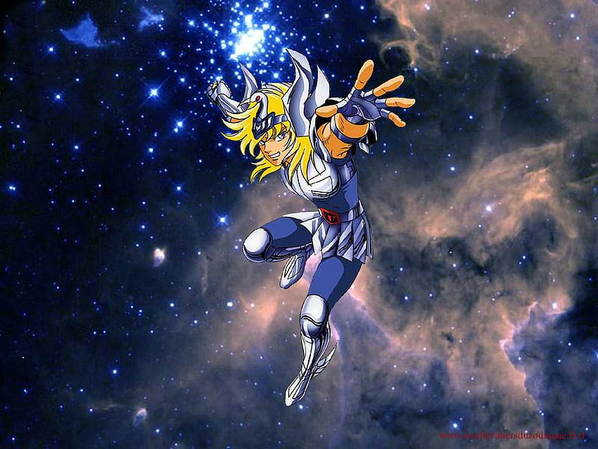 Cavalieri dello zodiaco, Cygnus hyoga Sfondo HD