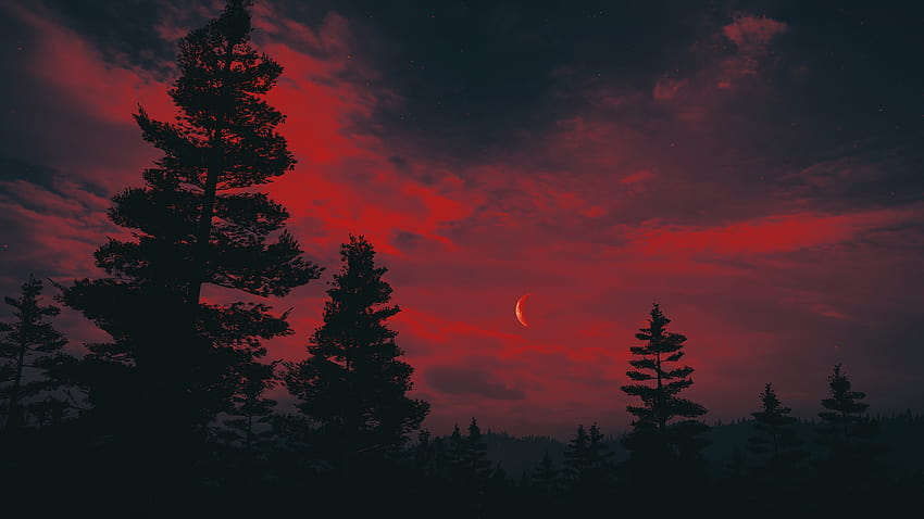 : Far Cry 5, red sky, forest, PC gaming, landscape, night 2560x1440 HD wallpaper