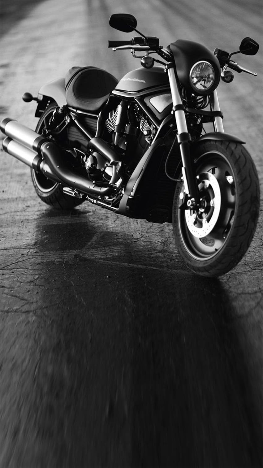 Motorcycle iPhone on Dog, motorbike for iphone HD phone wallpaper
