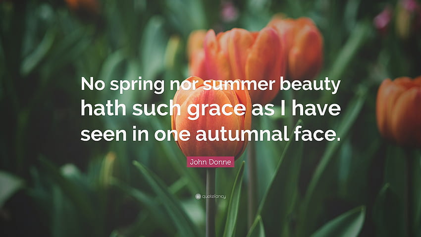 Cita de John Donne: “Ninguna belleza de primavera o verano tiene tanta gracia como yo fondo de pantalla