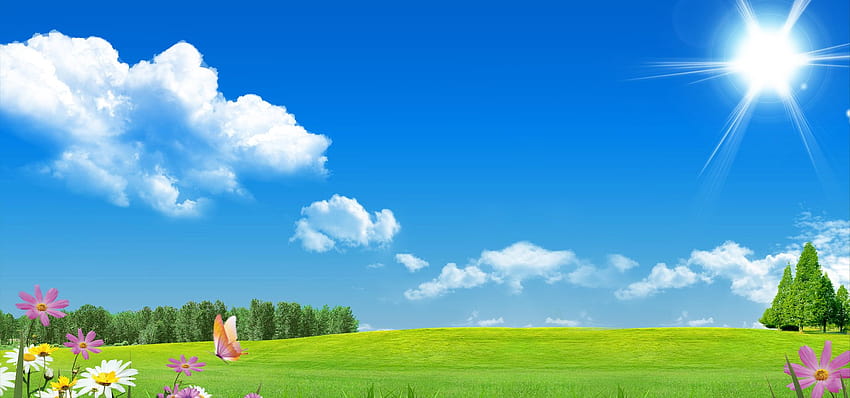 Niebieskie niebo i zielona trawa, niebo i trawa Tapeta HD