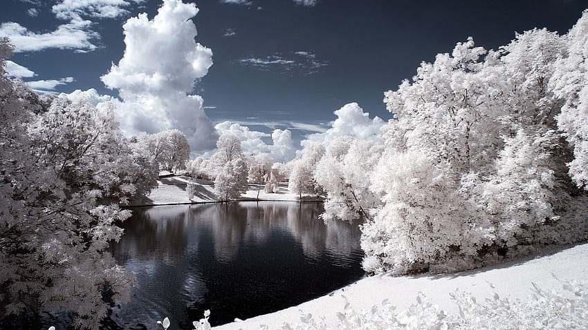 Neige paysage hiver :: Fond Ecran Fond d'écran HD