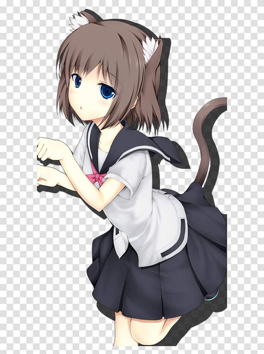 Neko Girl Pack Anime Cat Girl, Comics, Book, Manga, Person Transparent Png  – Pngset, kid cat girl anime HD phone wallpaper | Pxfuel