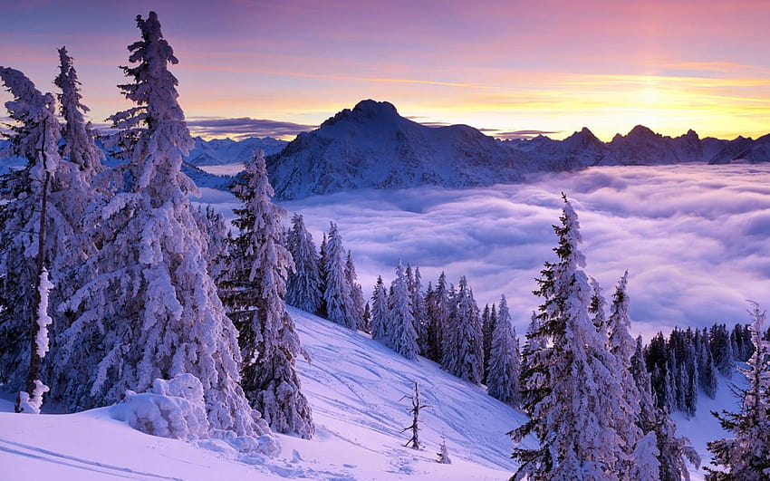 Magische Winterlandschaft in den Bergen HD-Hintergrundbild