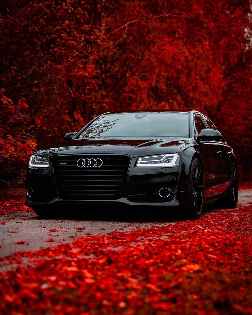 Audi A8 4H D4 4.2 V8 BiTDI na Instagramie: „Happy Valentine, czarny audi s8 iphone Tapeta na telefon HD