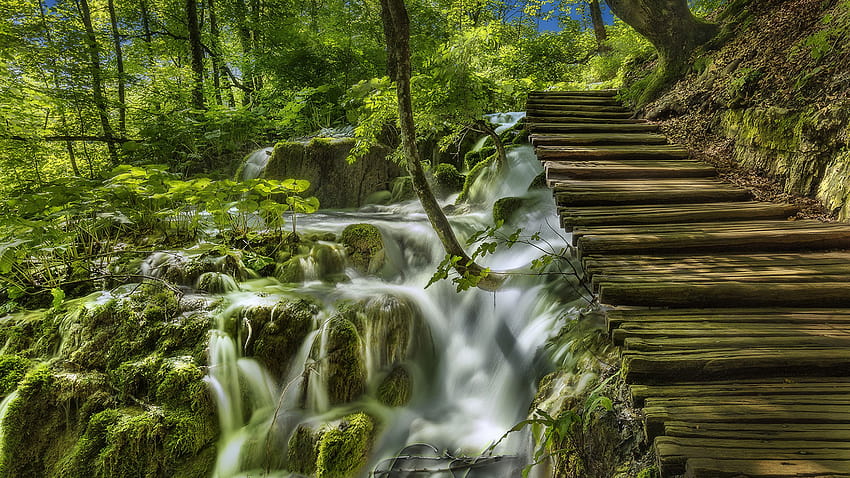 Croatia Plitvice Lakes National Park Nature Bridges 2560x1440 HD ...