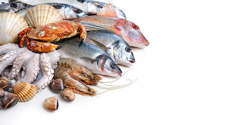 MARISCOS comida pescado mar océano ... arriba, comida para peces fondo de pantalla