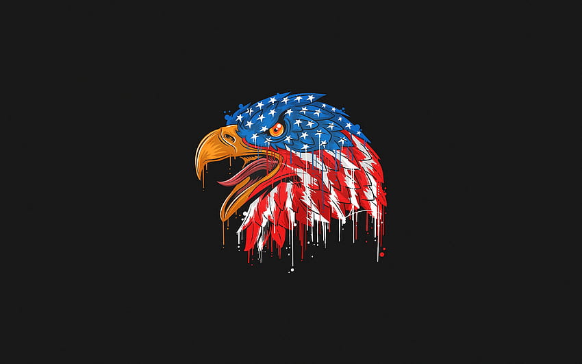 bald eagle, artwork, american symbols, american flag, hawk, minimal, creative, symbols of USA, eagle with resolution 3840x2400. High Quality, usa eagle HD wallpaper