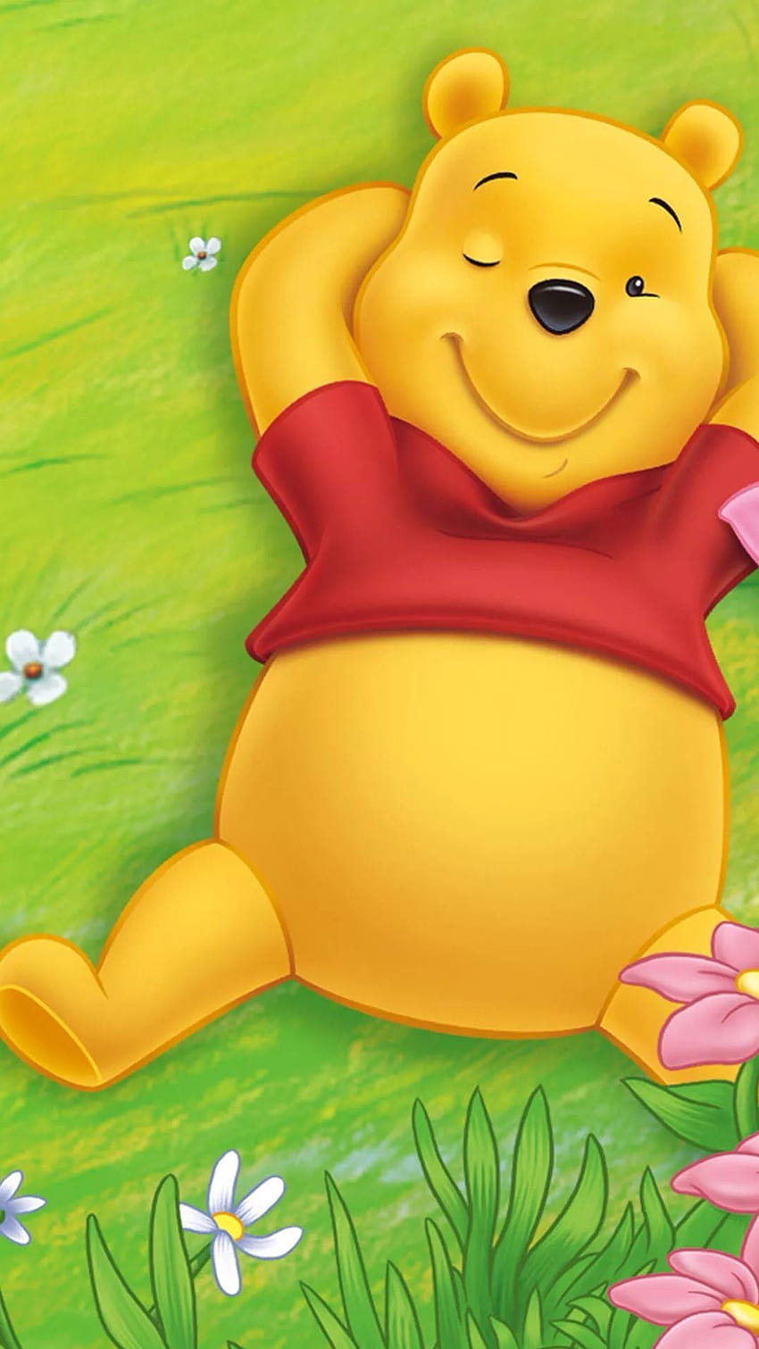 Winnie the Pooh lying on the grass and sunning., aesthetic winnie the pooh HD phone wallpaper