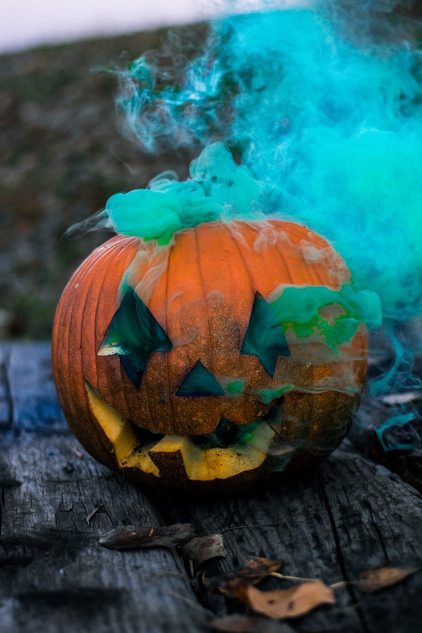 Vie saine sur les décorations d'Halloween, tiktok halloween Fond d'écran de téléphone HD