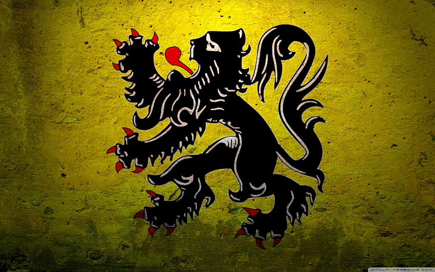 Гръндж правителствен флаг на Белгия ултра фонове за U TV : Таблет : Смартфон HD тапет