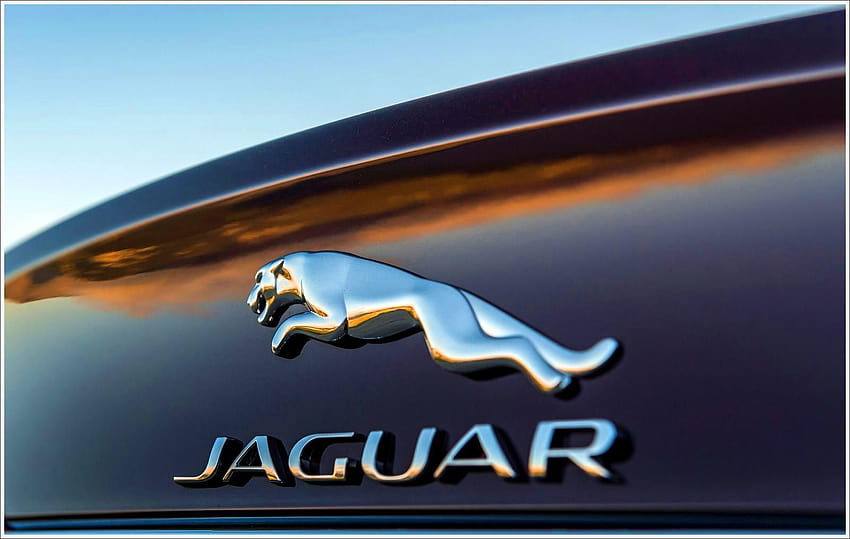 Jaguar Logo Wallpapers  Wallpaper Cave