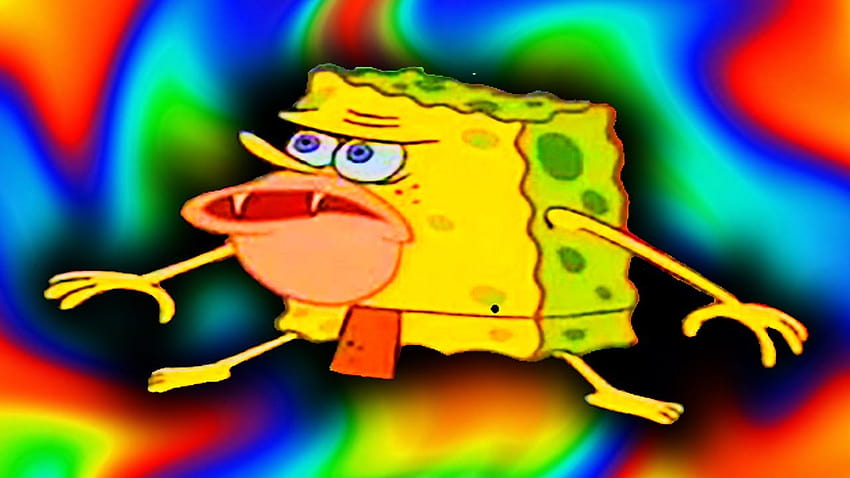 Spongebob Meme, marvel memes HD wallpaper | Pxfuel