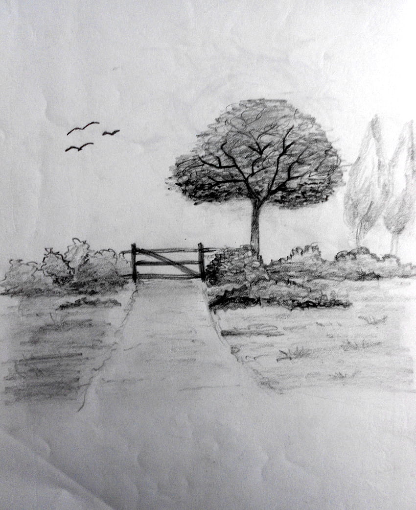 How to draw easy scenery with pencil, Village nature drawing | How to draw  easy scenery with pencil, Village nature drawing #drawing_academy  #drawing_video #pencildrawing #artist #artwork #art #painting | By Sayataru  CreationFacebook