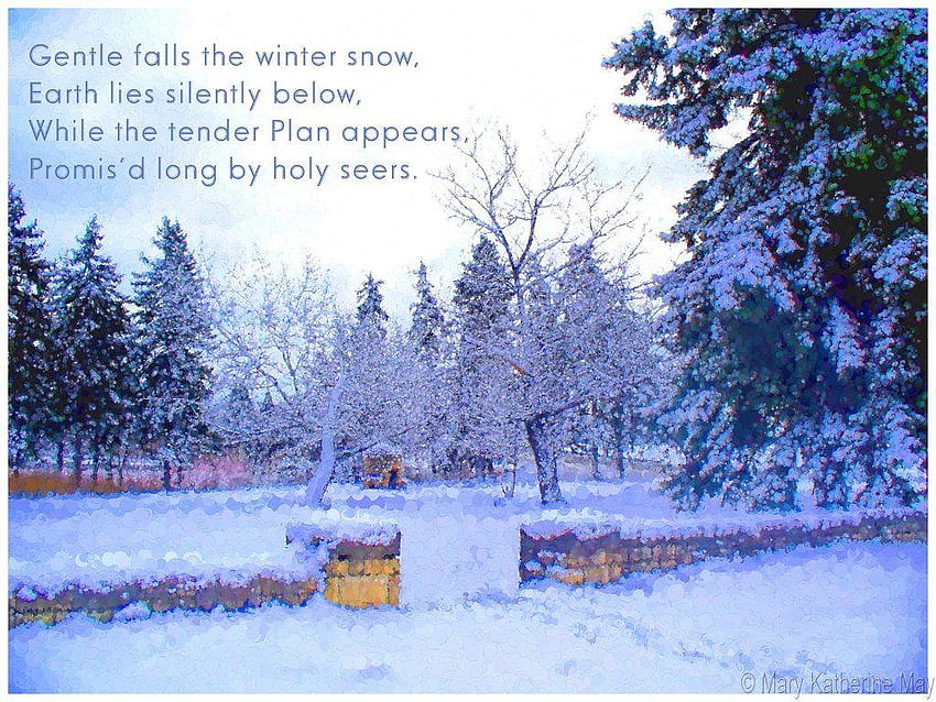 QMB Quality Music and Books Site: Christmas, winter snowy quotes HD wallpaper