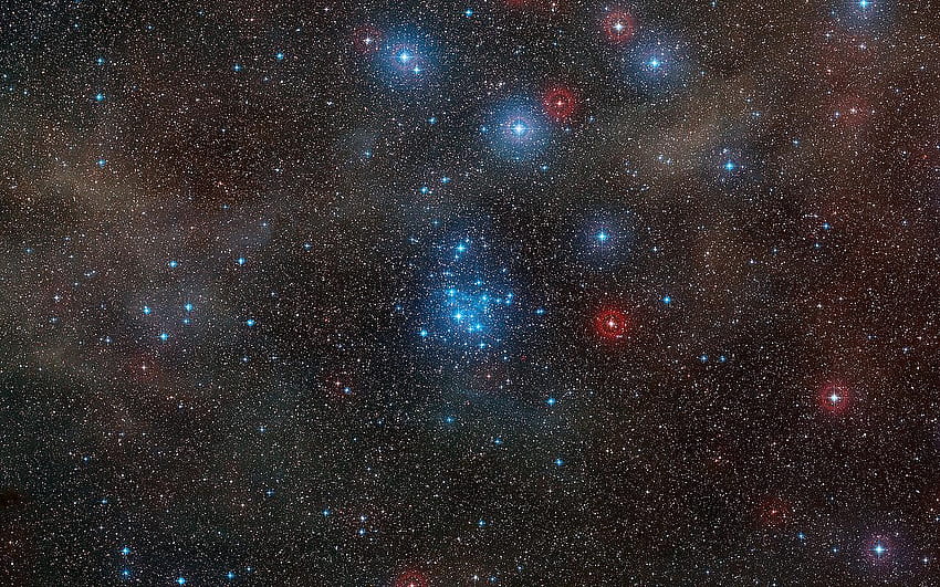 Vela Constellation: Facts, Myth, Stars, History, Deep Sky Objects, equuleus constellation HD wallpaper
