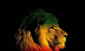 Reggae Lion HD wallpaper | Pxfuel