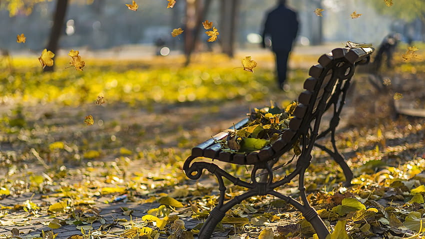 Park, leaves, bench, autumn 640x1136 iPhone 5/5S/5C/SE , background, bench autumn leaves HD wallpaper
