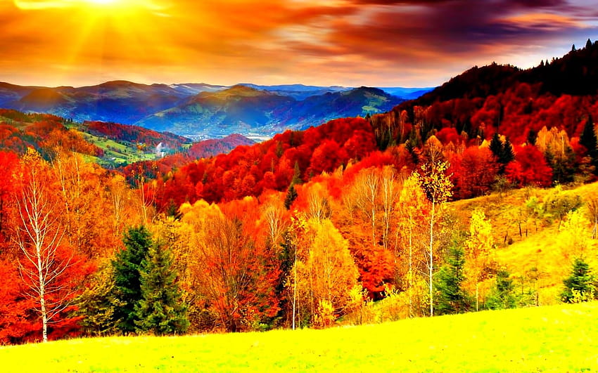 Penuh , Keren , Lanskap, Alam, Warna, musim gugur, Musim, Hutan, Daun, Musim, Daun, Jatuh, Pohon, Latar belakang .jpg, lanskap warna musim gugur Wallpaper HD